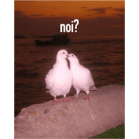 sticker image #13