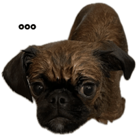 sticker image #10