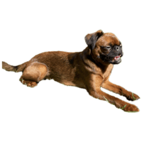 sticker image #12