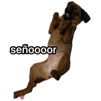 sticker image #13