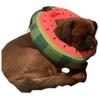 sticker image #14