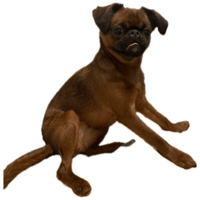 sticker image #17