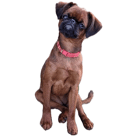 sticker image #2