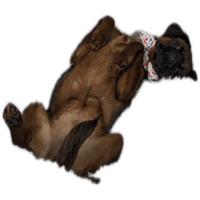 sticker image #20