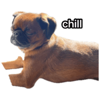 sticker image #21