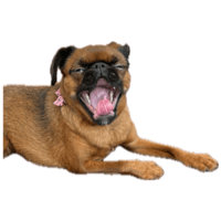 sticker image #22