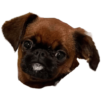 sticker image #23