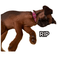 sticker image #8