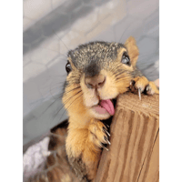 sticker image #1