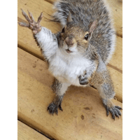 sticker image #10