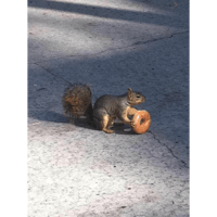 sticker image #14