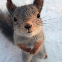 sticker image #17