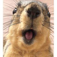 sticker image #18