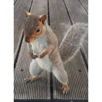 sticker image #21