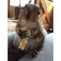 sticker image #24
