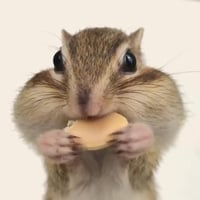 sticker image #25