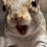 sticker image #27