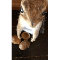 sticker image #29