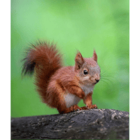 sticker image #30
