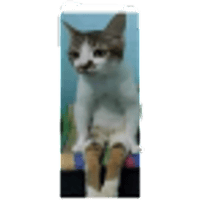 sticker image #2