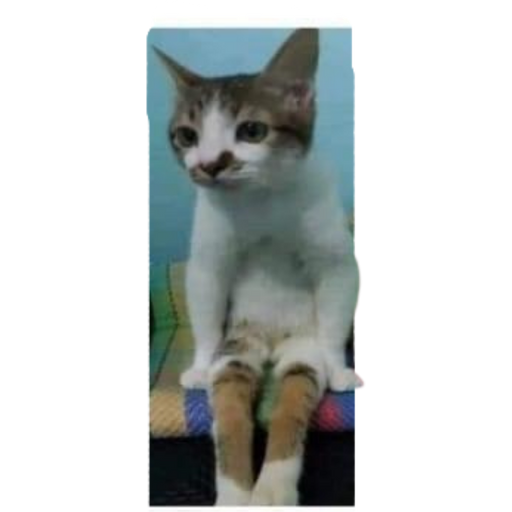 tray_icon #38159 sticker_pack