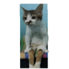 tray_icon #38159 sticker_pack