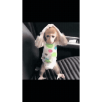 sticker image #10