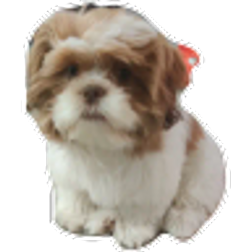 tray_icon #35657 sticker_pack