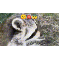 sticker image #1