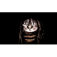 sticker image #4