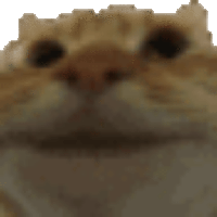 sticker image #12