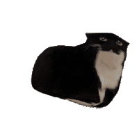 sticker image #3