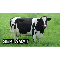 sticker image #28