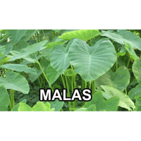 sticker image #30