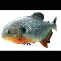 sticker image #8