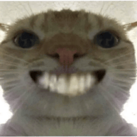 sticker image #10