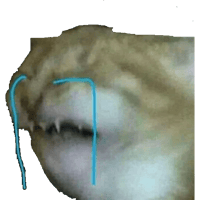 sticker image #17