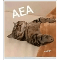 sticker image #3