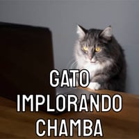 sticker image #12