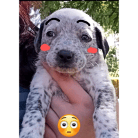 sticker image #3