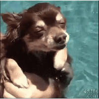 sticker image #11