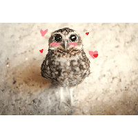 sticker image #16