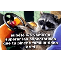 sticker image #20