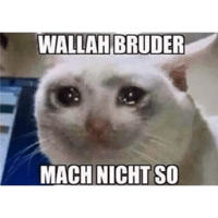 sticker image #11