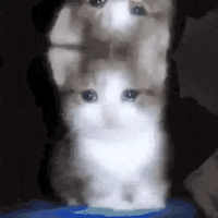 sticker image #16