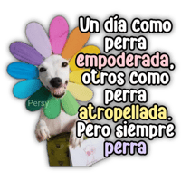 sticker image #23