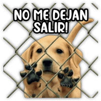 sticker image #7