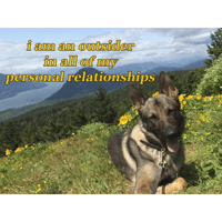 sticker image #6