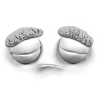 sticker image #5