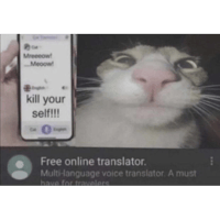 tray_icon
